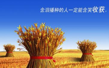 收获心得体会优秀6篇