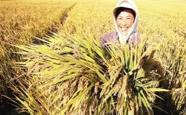 收获心得体会8篇