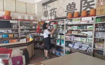 兽药厂的个人工作总结6篇
