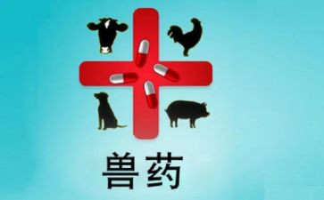 兽药销售月工作总结7篇