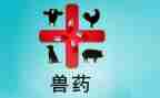 兽药销售月工作总结7篇