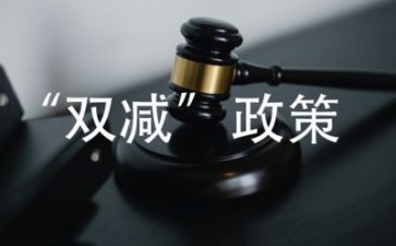 关于双减工作的心得7篇