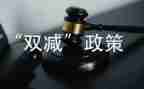关于双减工作的心得7篇