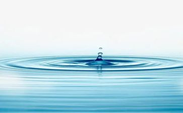 水的读后感300字作文5篇