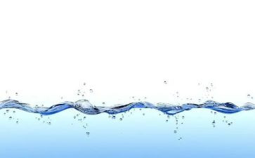 水的读后感300字作文优秀5篇