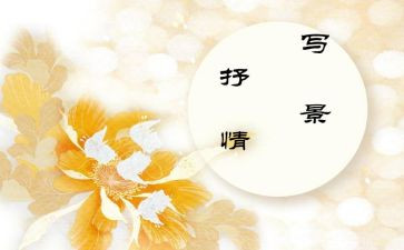 桥抒情的作文模板7篇
