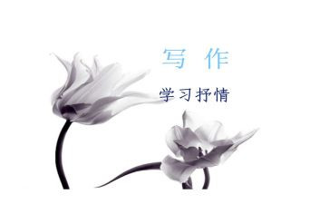 抒情作文400字5篇