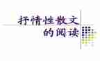 关于桥的抒情作文5篇