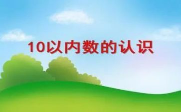 5的数数教案8篇