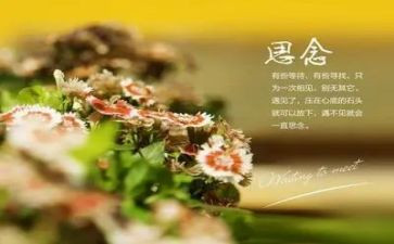 对父亲思念的作文5篇