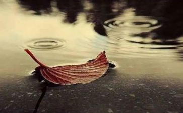 对家乡的思念作文6篇