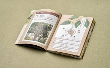 教师学四史心得体会7篇