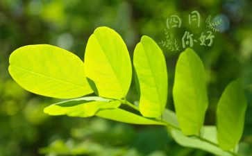 闰四月作文推荐7篇