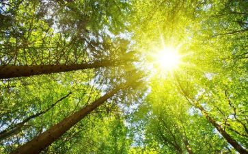太阳能安装找工程合同7篇