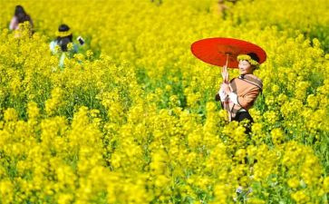 踏青清明节作文优秀5篇