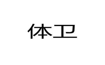 2024下学期体卫艺工作计划5篇