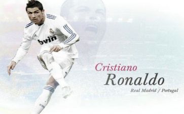 体育部的年终总结5篇