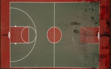 学体育的心得体会模板5篇