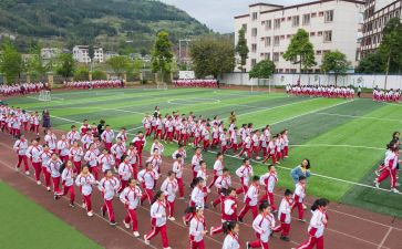 学生体育活动方案8篇