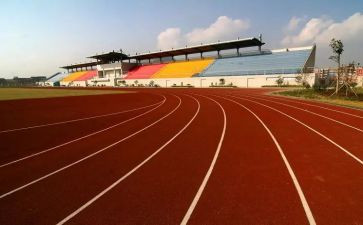 体育活动方案活动方案参考6篇