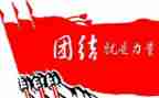 团结的体会和心得8篇
