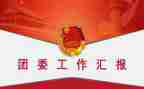 学校团委工作报告6篇