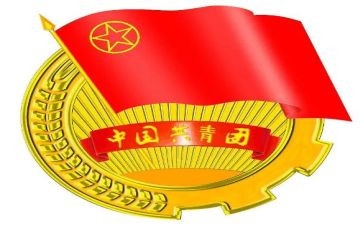 团支部团日活动总结5篇