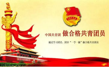 基层团组织建设调研报告8篇