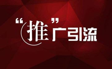 网络推广工作总结5篇