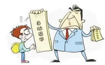 大学退学费申请书8篇