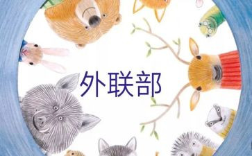对外联工作总结精选6篇