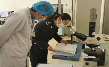 学校卫生站工作计划精选6篇