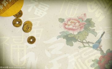 主题文化活动总结6篇