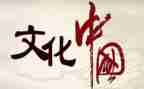 汉文化社活动总结7篇