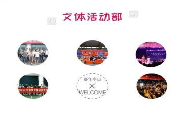 文体部工作总结报告8篇