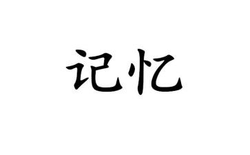 记忆演讲稿6篇