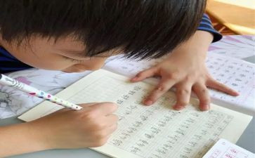 我的名字优秀作文5篇