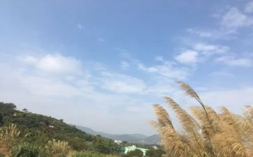 记我的一天作文5篇