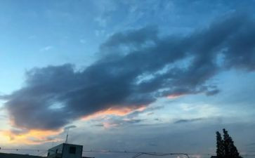 作文我的一天600字参考5篇