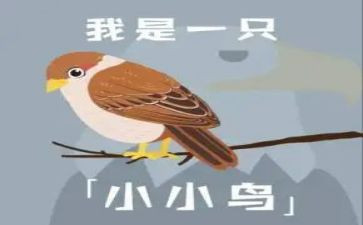 小鸟小鸟大班音乐教案7篇
