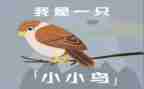 小鸟小鸟大班音乐教案7篇