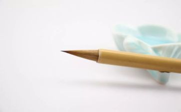 我想变成伞作文300字作文7篇