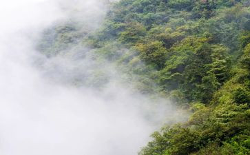 雾的坏处作文6篇