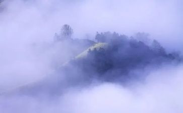 雾的读后感800字优秀6篇