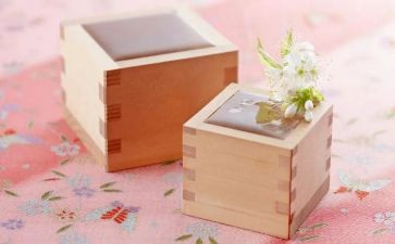无物品作文模板5篇