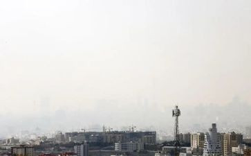 污染环境的调查报告通用8篇