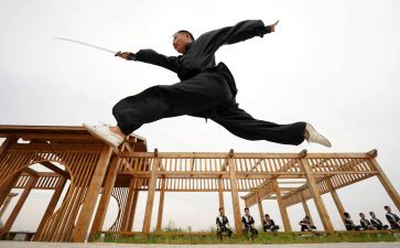 武术操教学计划7篇