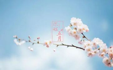 中班五月份的工作总结5篇