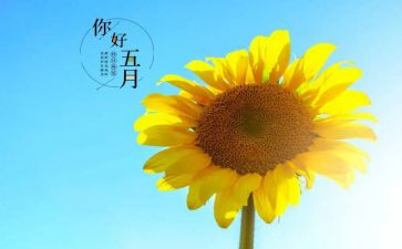 小班五月总结班五月总结5篇