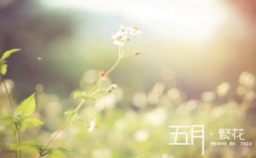 幼儿园小班五月份工作总结7篇